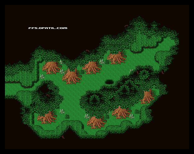 モーグリの森 マップ画像：ファイナルファンタジー5 攻略